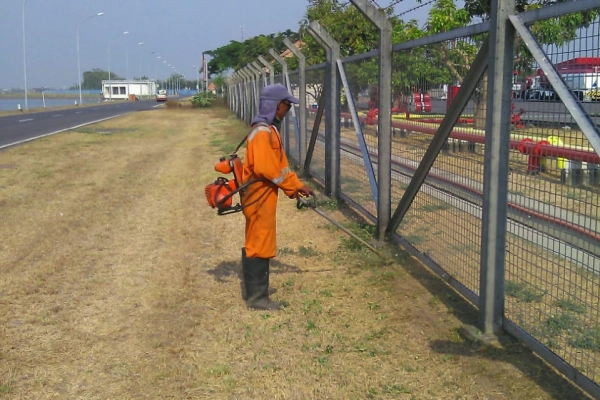 Services Jasa Bidang Perawatan Landscape 9 whatsapp_image_2019_10_24_at_08_00_37